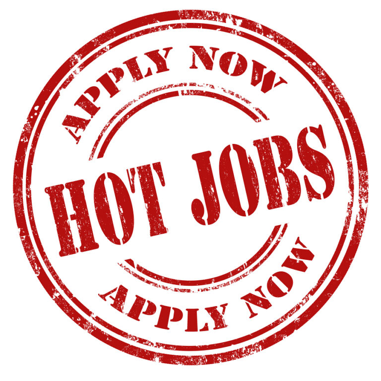 Transportation Security Officer Positions Now Available FreeJobAlertNews